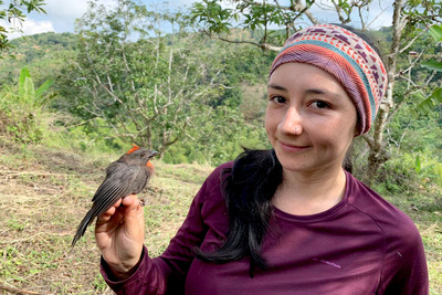 The author, Juliana Soto, holds a sooty ant tanager.