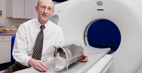 Robert "Bob" O'Brien, professor and head of diagnostic imaging in the College of Veterinary Medicine, demonstrates his invention, the VetMouseTrap, with his cat Michael.