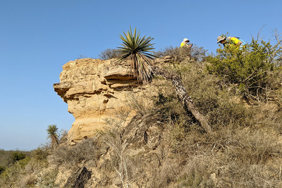 The team searches atop a bluff not far from the Rio Grande.