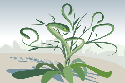 Like a Hydra, some plants grow bigger and boost their chemical defenses after being clipped.
