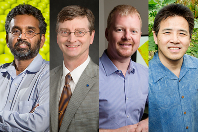 Narayana Aluru, William Gropp, Andrew Leakey and Ray Ming are among 416 scientists elected AAAS Fellows this year.