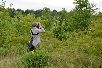 Illinois Natural History Survey avian ecologist Bryan Reiley looks for rare birds on conservation lands.