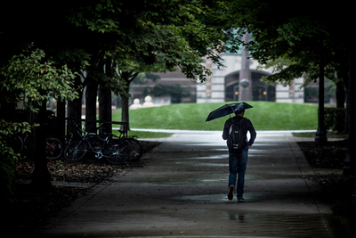 View from behind as a student walks with an umbrella down a tree-lined sidewalk