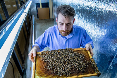 Portrait of entomology professor Adam Dolezal holding a frame filled with honeycomb and honey bees.