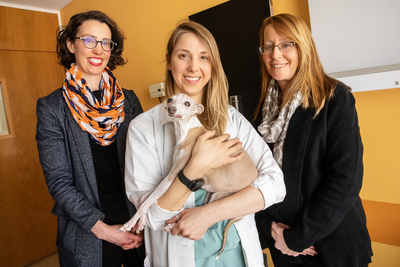 With their colleagues, veterinary clinical medicine professors, from left, Dr. Ashley Mitek, Dr. Stephanie Keating and Dr. Maureen McMichael, developed an online pain management training program for veterinarians.