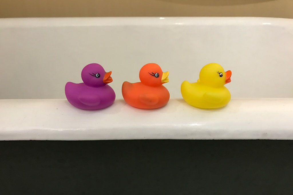 Fellowships: Getting your ducks in a row