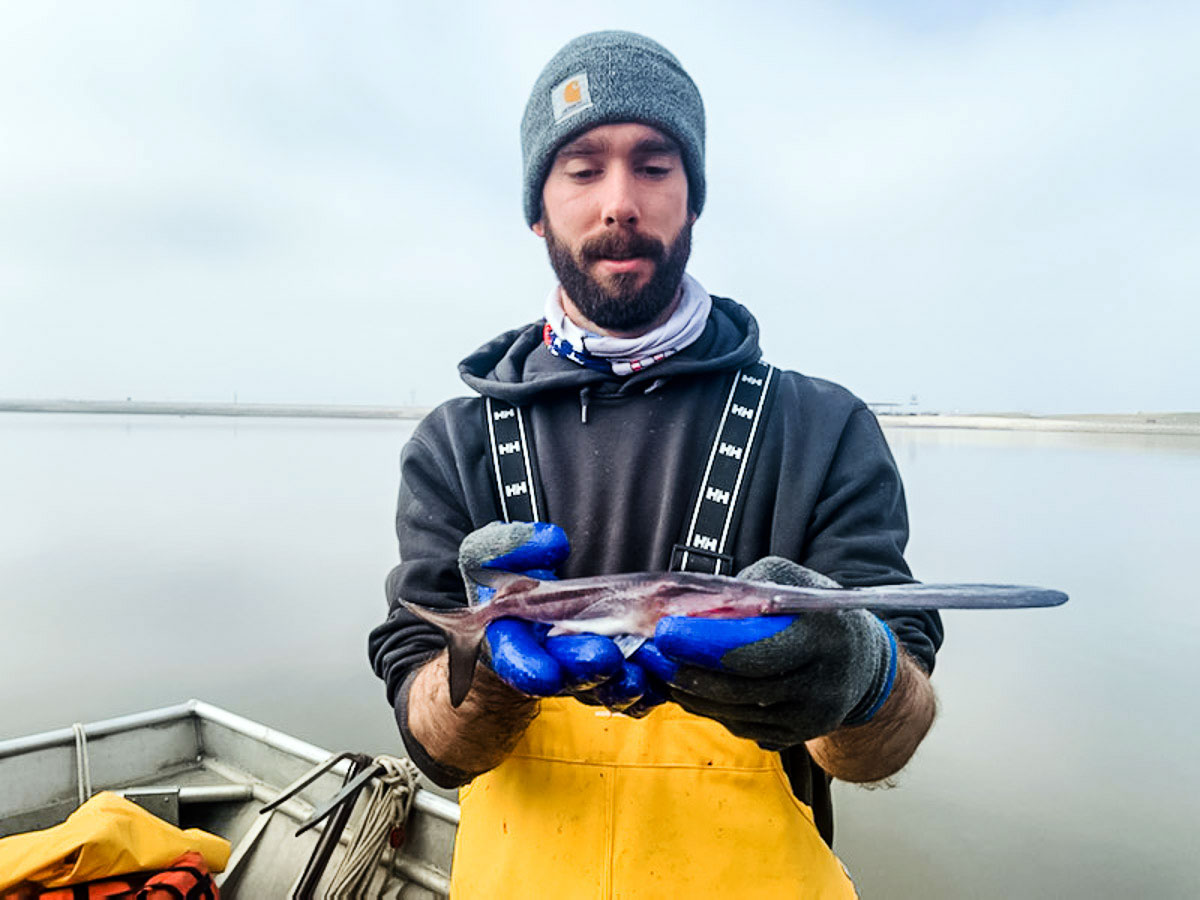 scientist holding young paddlefish