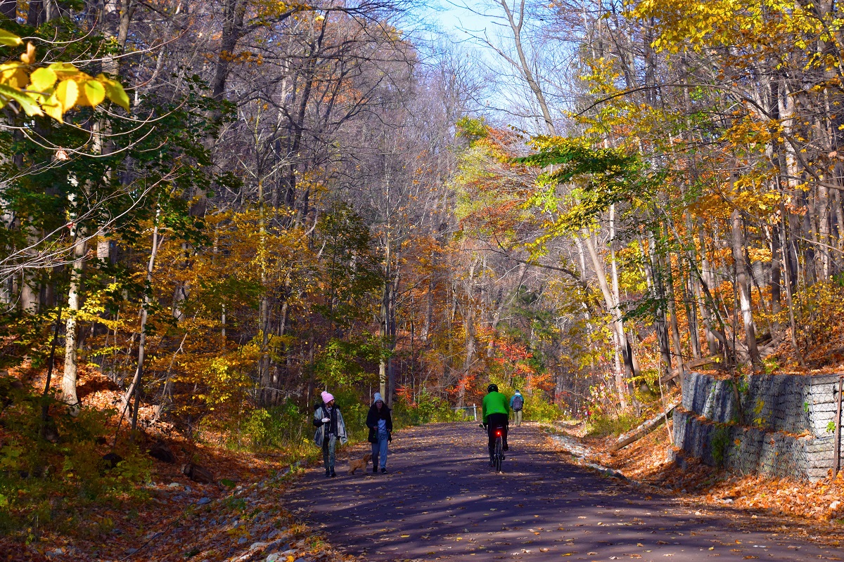 People walk and ride on a paved trail 