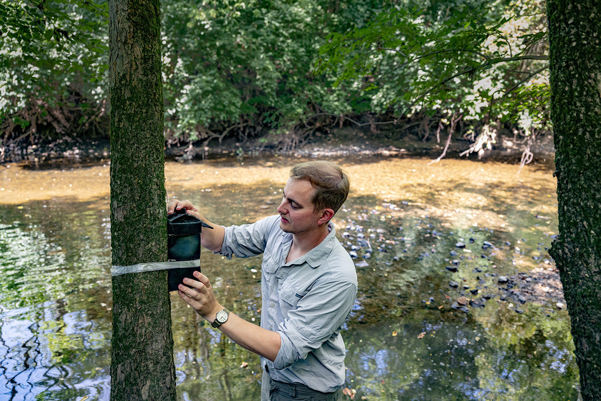 University of Illinois Urbana-Champaign Ph.D. candidate Nicholas Antonson prepares a nest box to accommodate a prothonotary warbler nest.