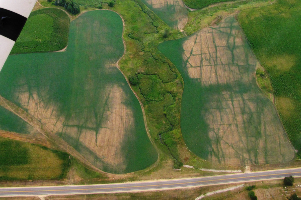 Jo Daviess County alfalfa crop pattern in 2012