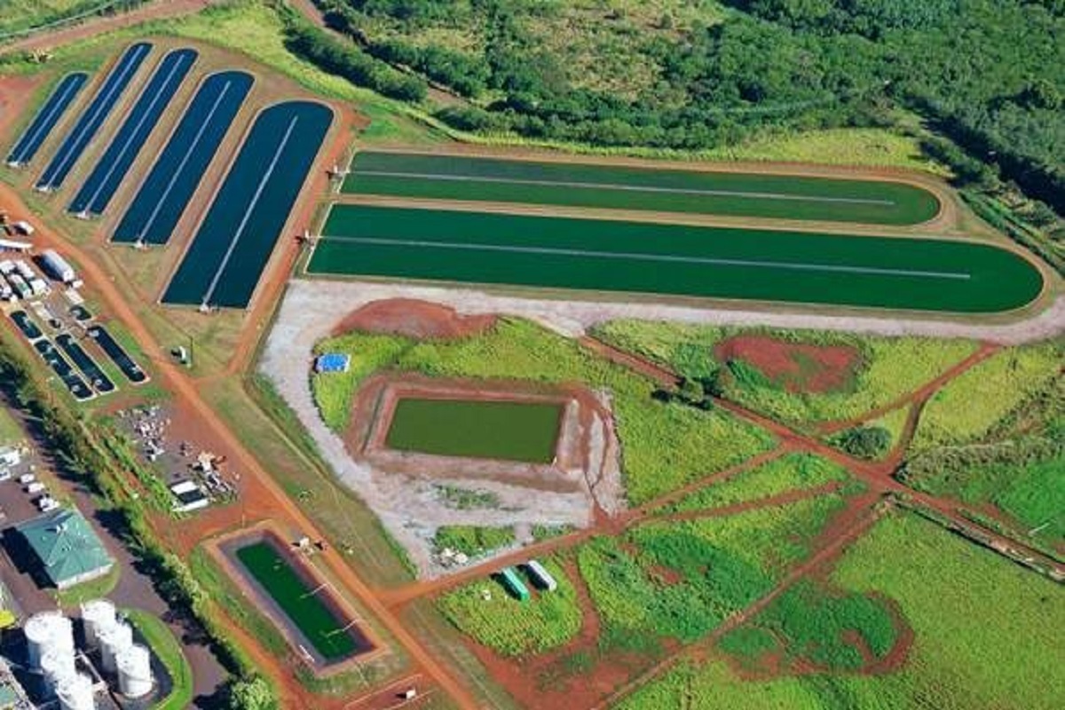 Aerial image of an algae cultivation system from Global Algae Innovations