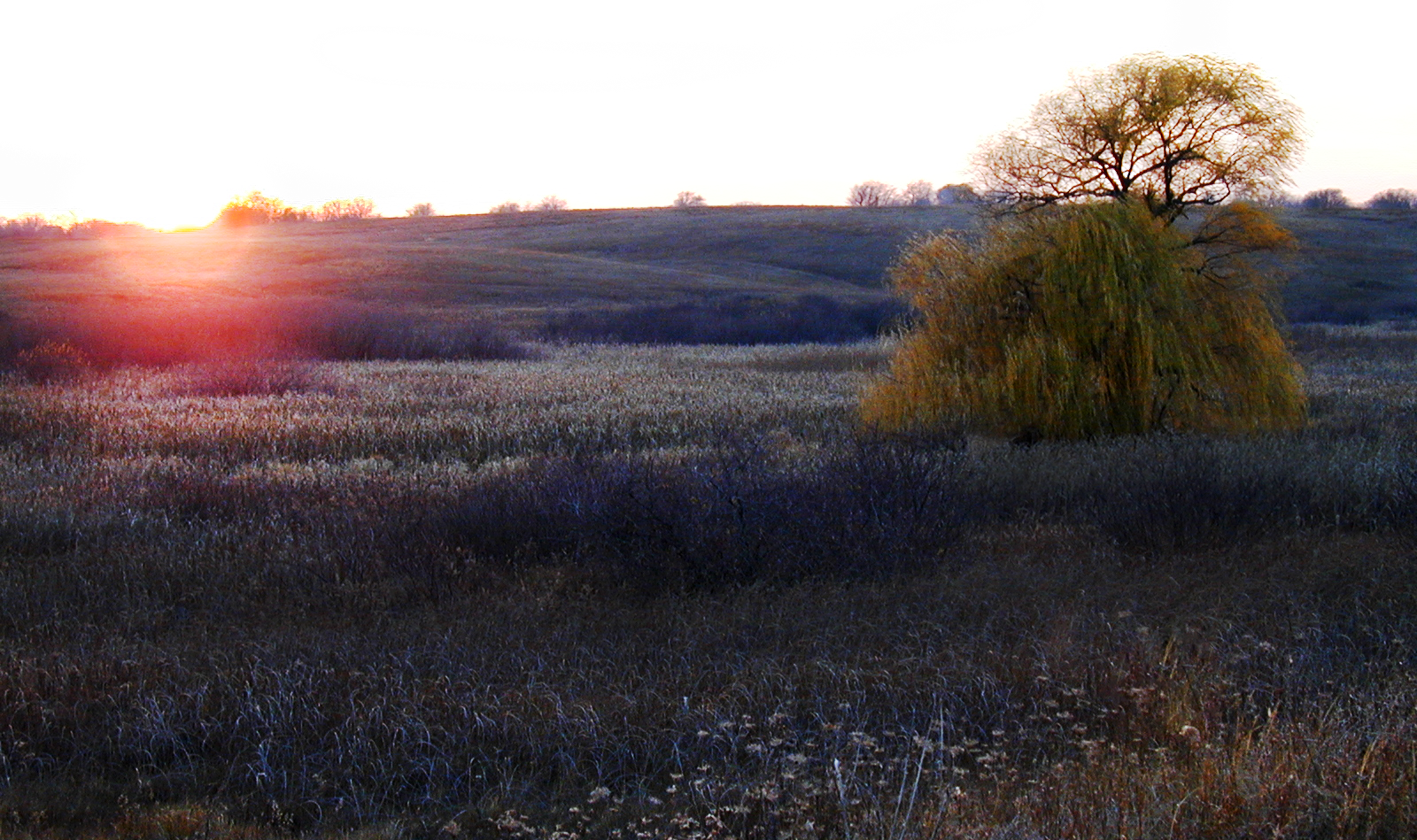 Sunset over the Lake in the Hills Fen Nature Preserve