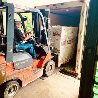 Rendleman Orchards worker loads boxes onto a truck for delivery to a food bank (photo credit: Zach Samaras)