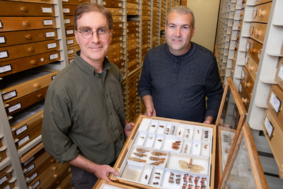 two men hold tray of insect specimens