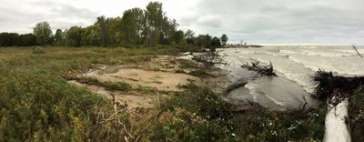 erosion on the Lake Michigan shoreline