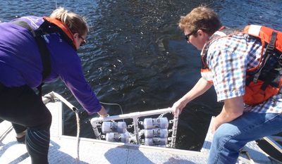 Maggie Oudsema and John Scott lower microplastic samples into Muskegon Lake