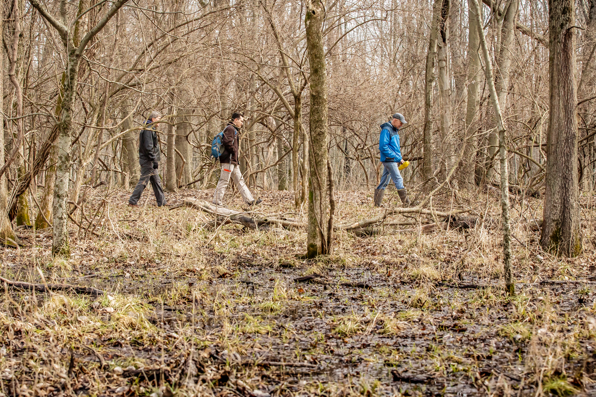 Mike Farkas, Michael Aiuvalasit and Tim Pauketat walking amid bare trees
