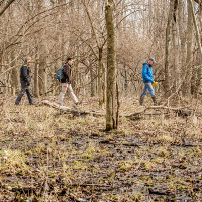 Mike Farkas, Michael Aiuvalasit and Tim Pauketat walking amid bare trees