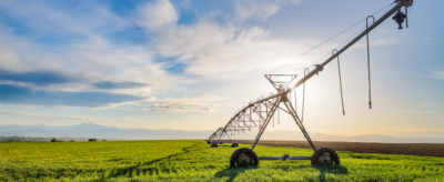 irrigation system watering young plants in a field