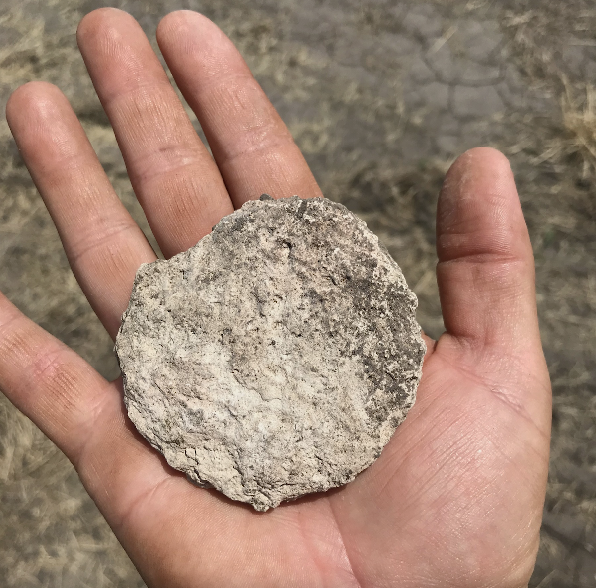 a large carved limestone disc