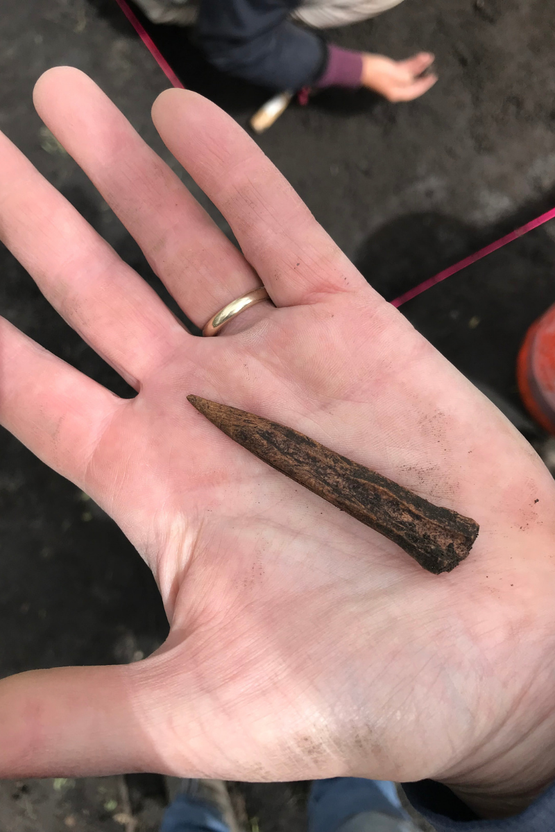 Archaeologists found this bone awl (made on a white-tailed deer metatarsus) in Stephenson County.