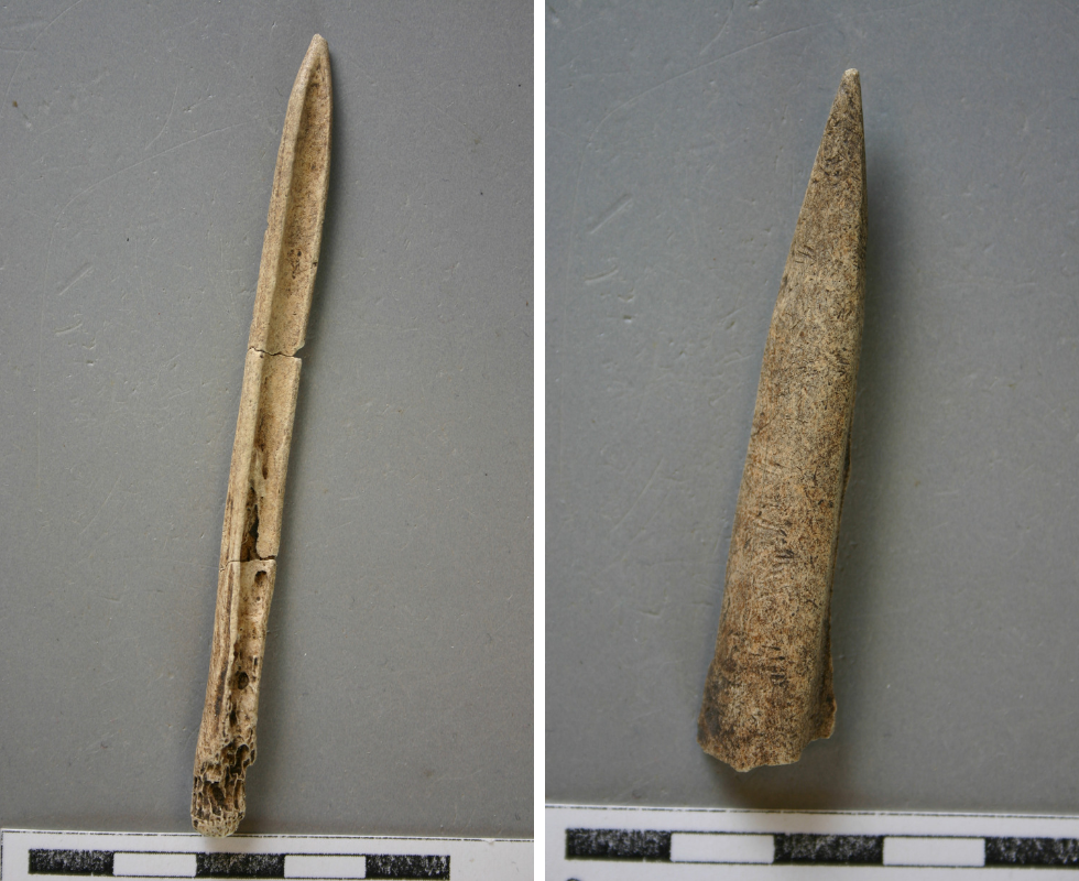 These two bone tools were recently recovered from a site in Stephenson County. According to analysis by Steve Kuehn, the finer tool (left) is made from a turkey tarsometarsus. The awl at right was made on a white-tailed deer metatarsus.