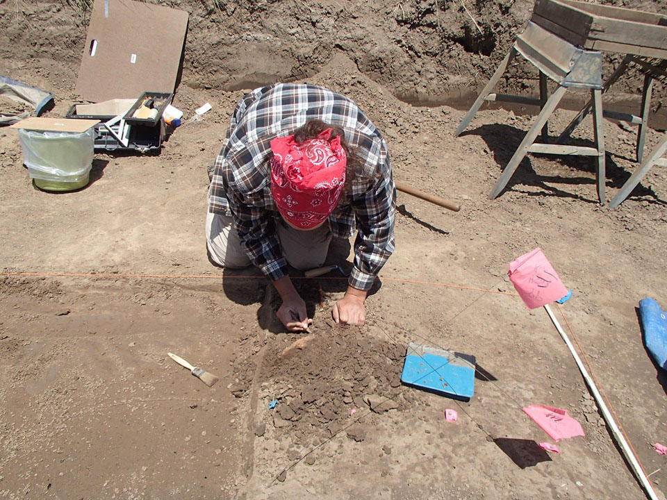 Archaeologist brushing dirt away from object in the ground.