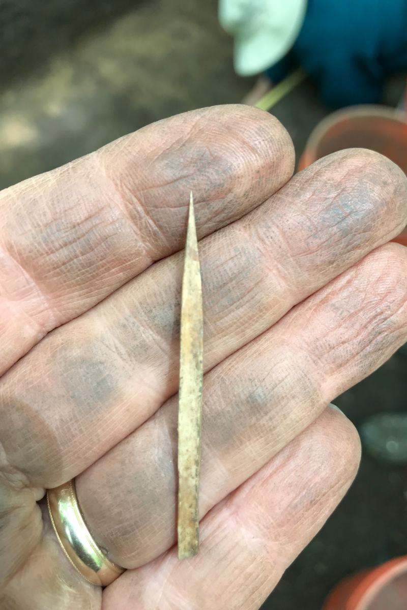 This bone needle was found during a recent dig in the Forest Preserves of Cook County (FPCC).