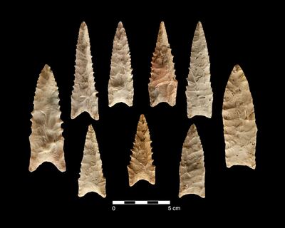 Nine Dalton projectile points