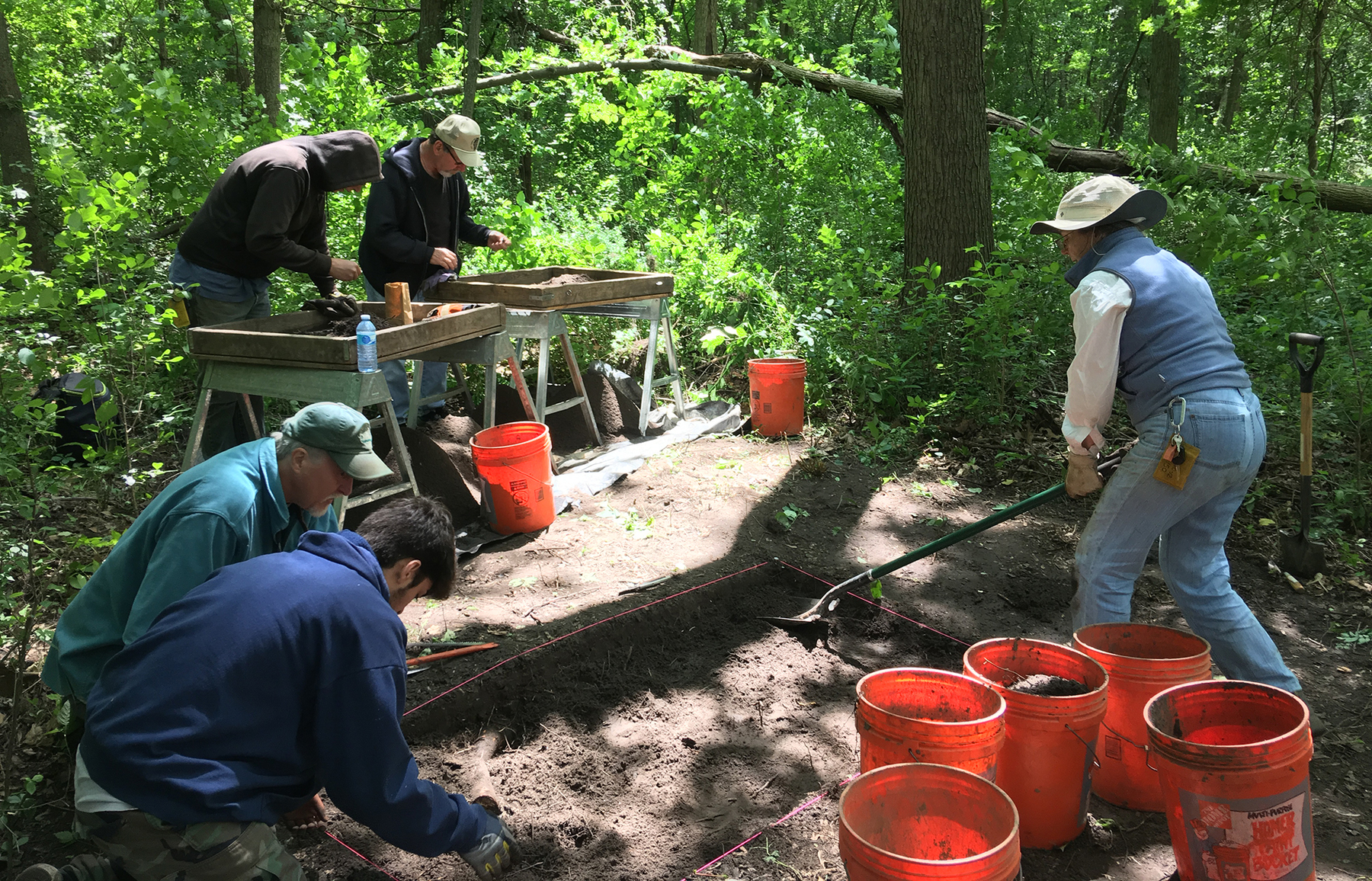 ISAS staff and volunteers work at a site in the Forest Preserves of Cook County