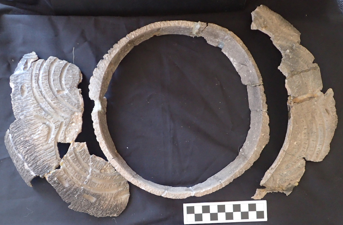 Upper Mississippian jar rims from the Schryver collection.