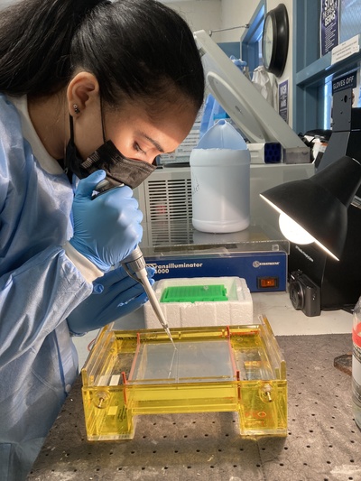 Miriam piping DNA into tube