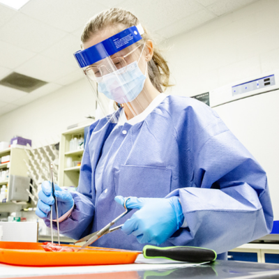 Rachel Lupas processes a tissue sample for analysis