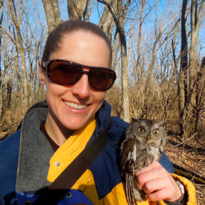 Tara Beveroth holding eastern screech owl