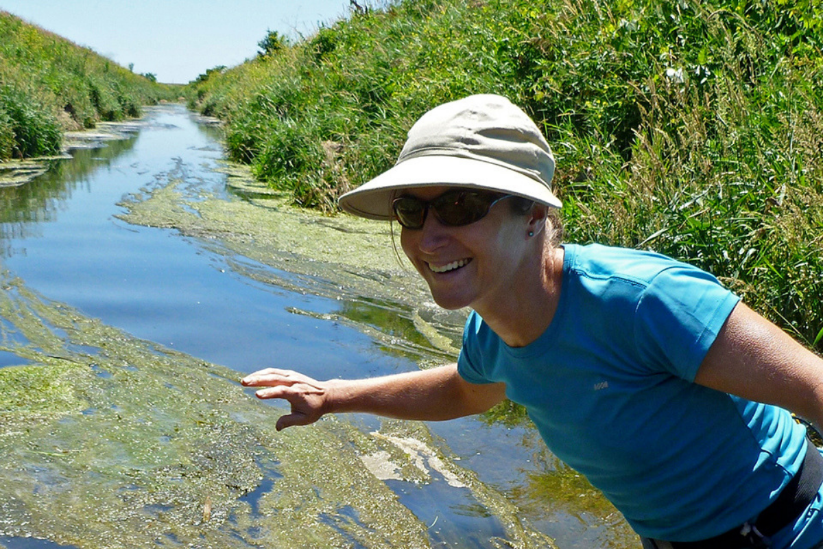 Alison Stodola: Aquatic Biologist