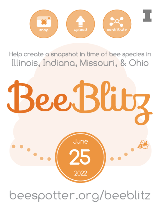 BeeBlitz flier: on June 25, 2022, help create a snapshot in time of bee species in Illinois, Indiana, Missouri, and Ohio