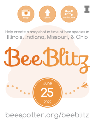 BeeSpotter News & Announcements, BeeSpotter, University Of Illinois