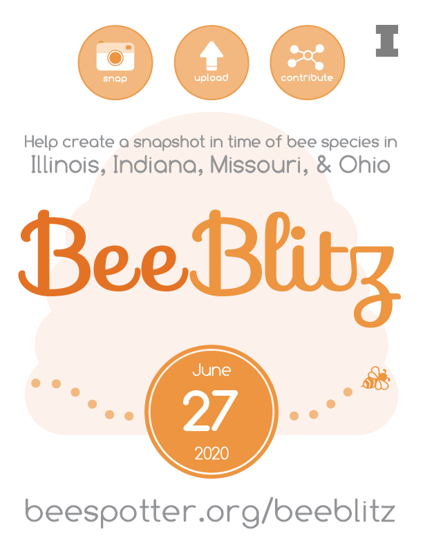 BeeBlitz 2020 flier
