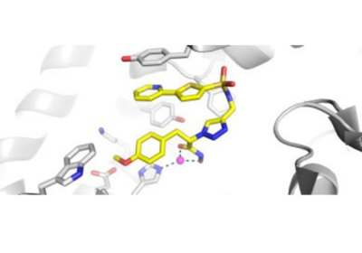 Illustration of molecule enzyme inhibitor