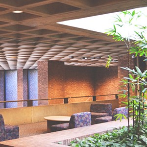 An interior space with a concrete ceiling, plants and empty chairs.