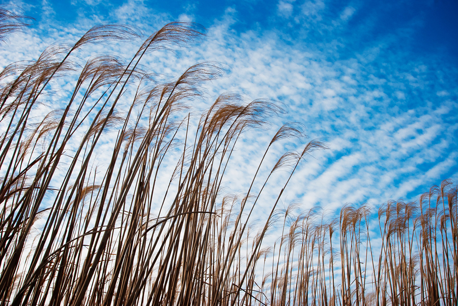 Illinois Water & Climate Summary