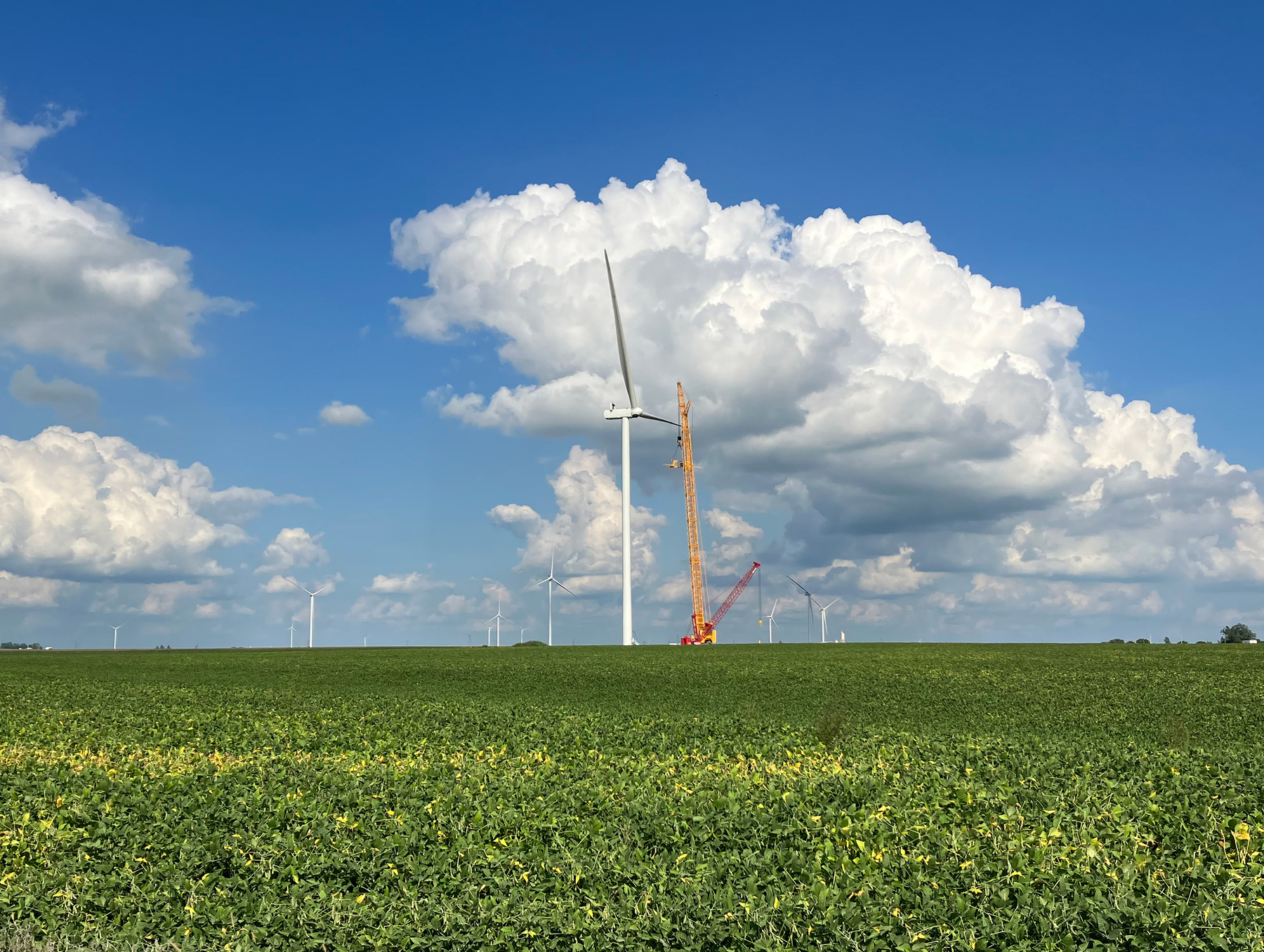 A wind turbine stands in a field.